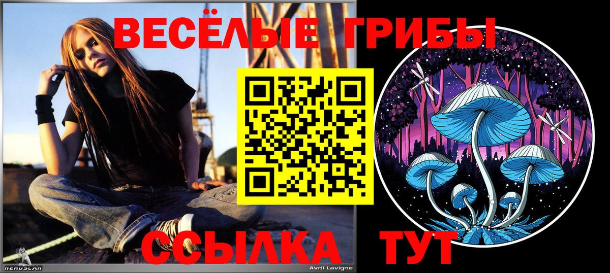 Псилоцибиновые грибы мицелий Тавда